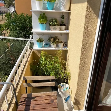 Joy Apartman Umag